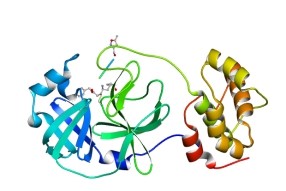 上海光源与蛋白质设施用户成果入选2020年度中国科学十大进展